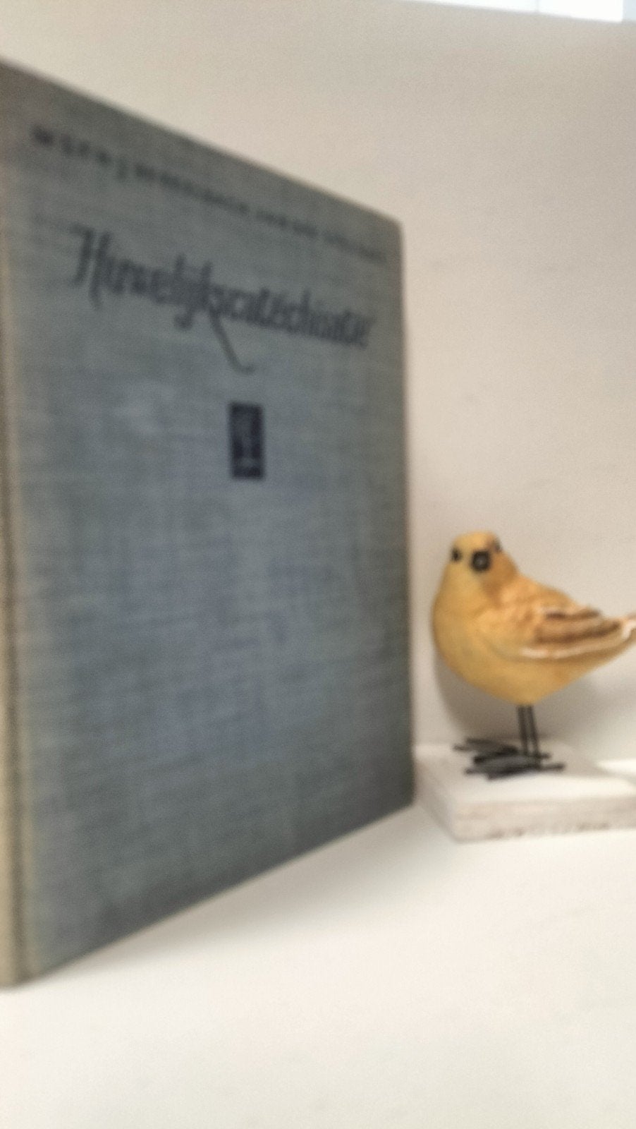 Berkelbach van der Sprenkel, Dr. S.F.H.; Huwelijkscatech, Ophalen of Verzenden, Gelezen, Christendom | Protestants