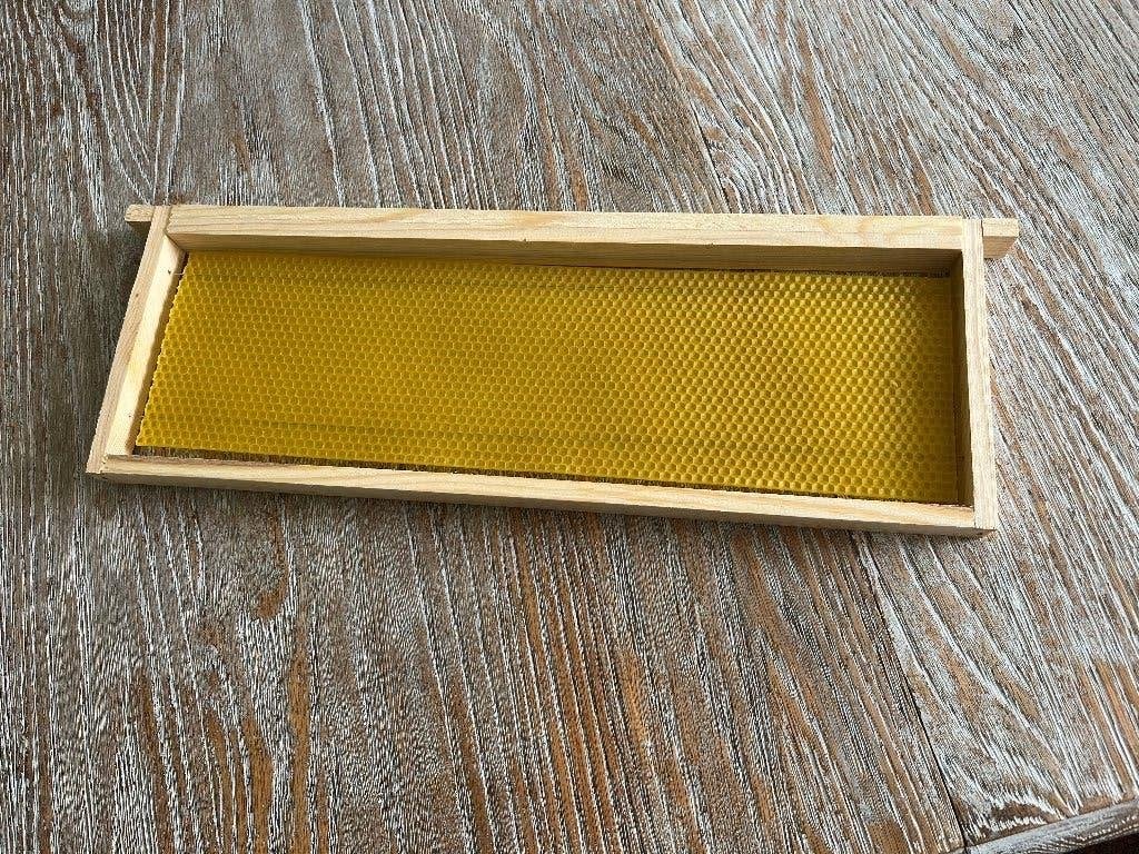 20 Dadant US & Langstroth Honingkamerramen, Dieren en Toebehoren, Insecten en Spinnen, Bijen