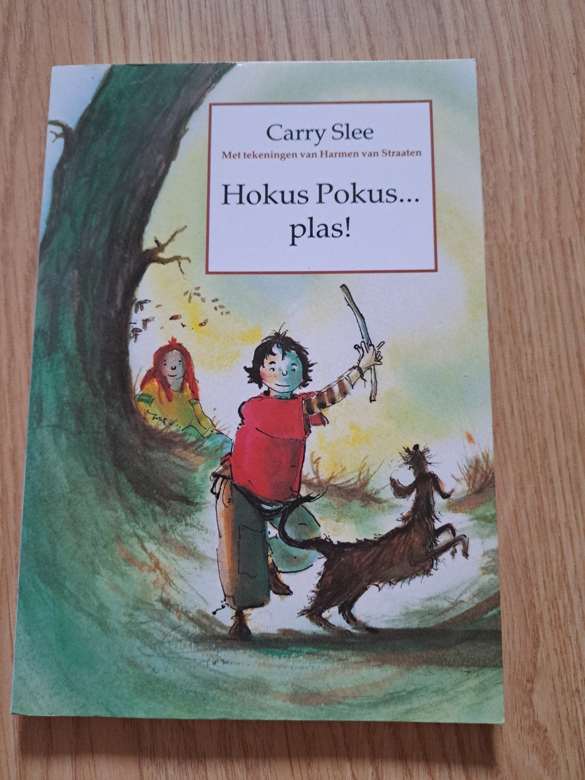 Hokus Pokus... plas! - Carry Slee (kinderboek), Ophalen of Verzenden, Gelezen, Carry Slee, Fictie algemeen
