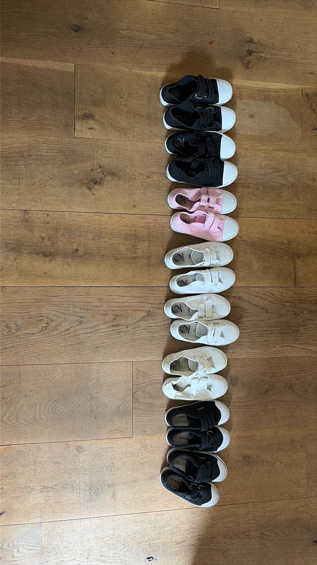 Gymschoenen verschillende maten, Ophalen of Verzenden, Zo goed als nieuw