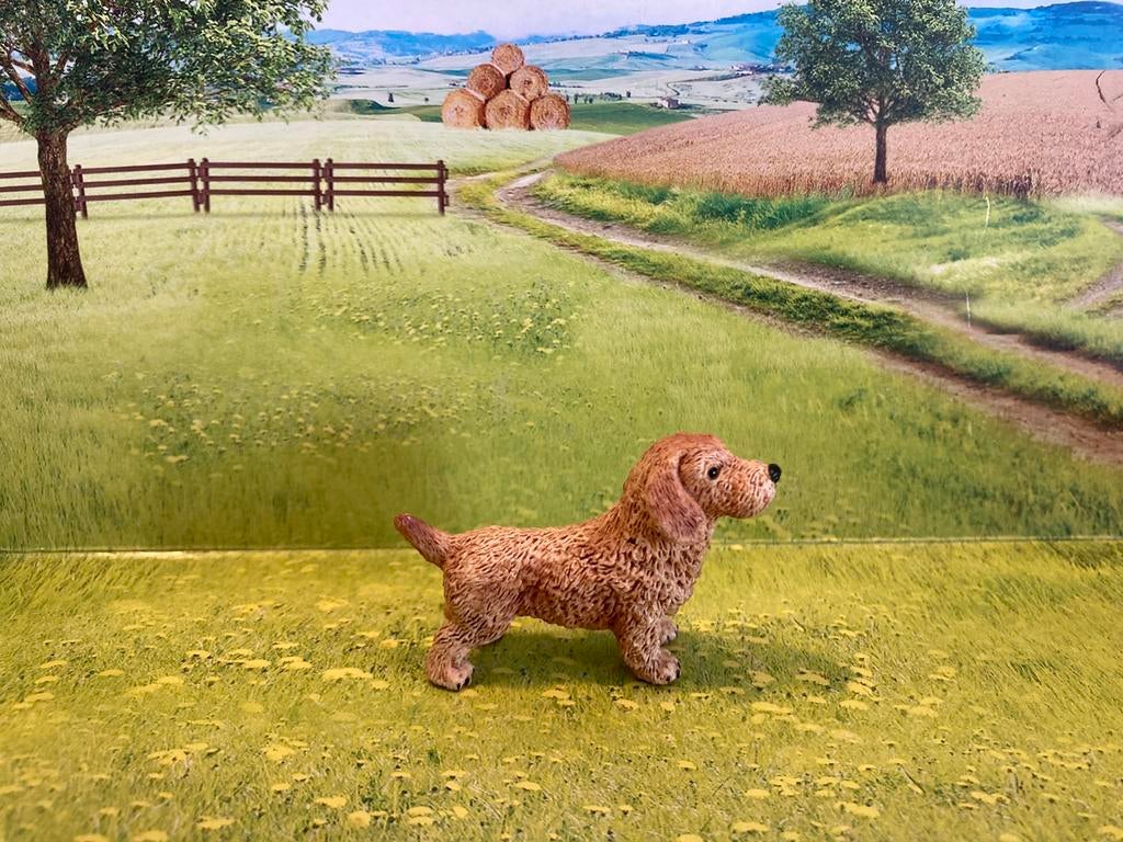 Schleich hond, Verzamelen, Dierenverzamelingen, Ophalen of Verzenden, Zo goed als nieuw, Hond of Kat, Beeldje of Figuurtje