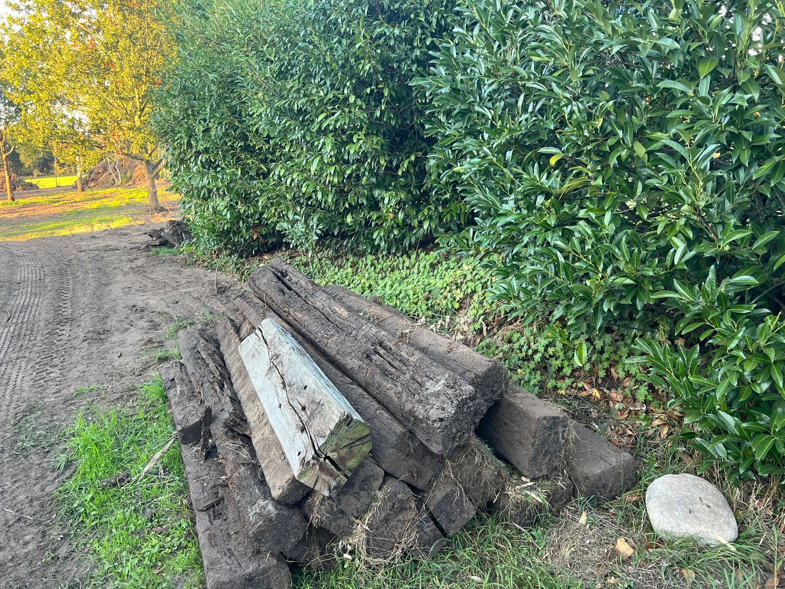 GRATIS af te halen oude houten bielzen, Doe-het-zelf en Verbouw, Ophalen, Gebruikt, 50 mm of meer, Balk