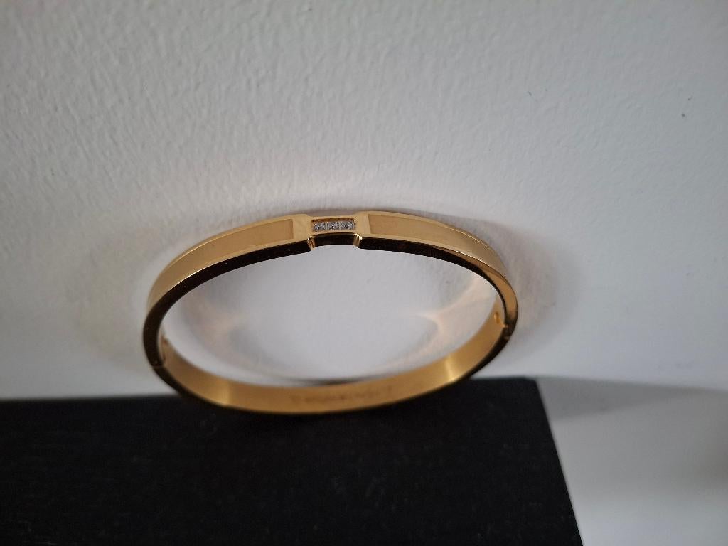 armband, Sieraden, Tassen en Uiterlijk, Armbanden, Staal, Ophalen of Verzenden, Zo goed als nieuw, Goud