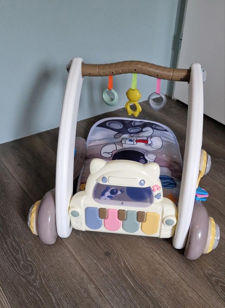 Eco Toys loopwagen, Ophalen of Verzenden, Zo goed als nieuw, Overige typen