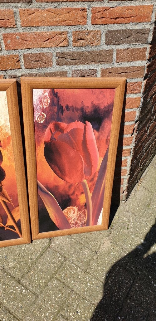 prenten roos, Ophalen of Verzenden, 'T Olde Gre-j, Info@toldegrej.nl, Endepoelstraat 20f Didam