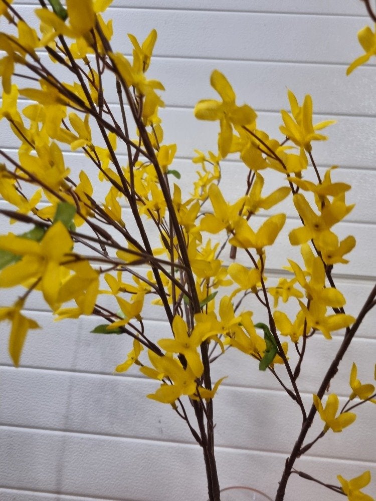kunsttakken forsythia [chinees klokje], Ophalen of Verzenden, 'T Olde Gre-j, Info@toldegrej.nl, Endepoelstraat 20f Didam