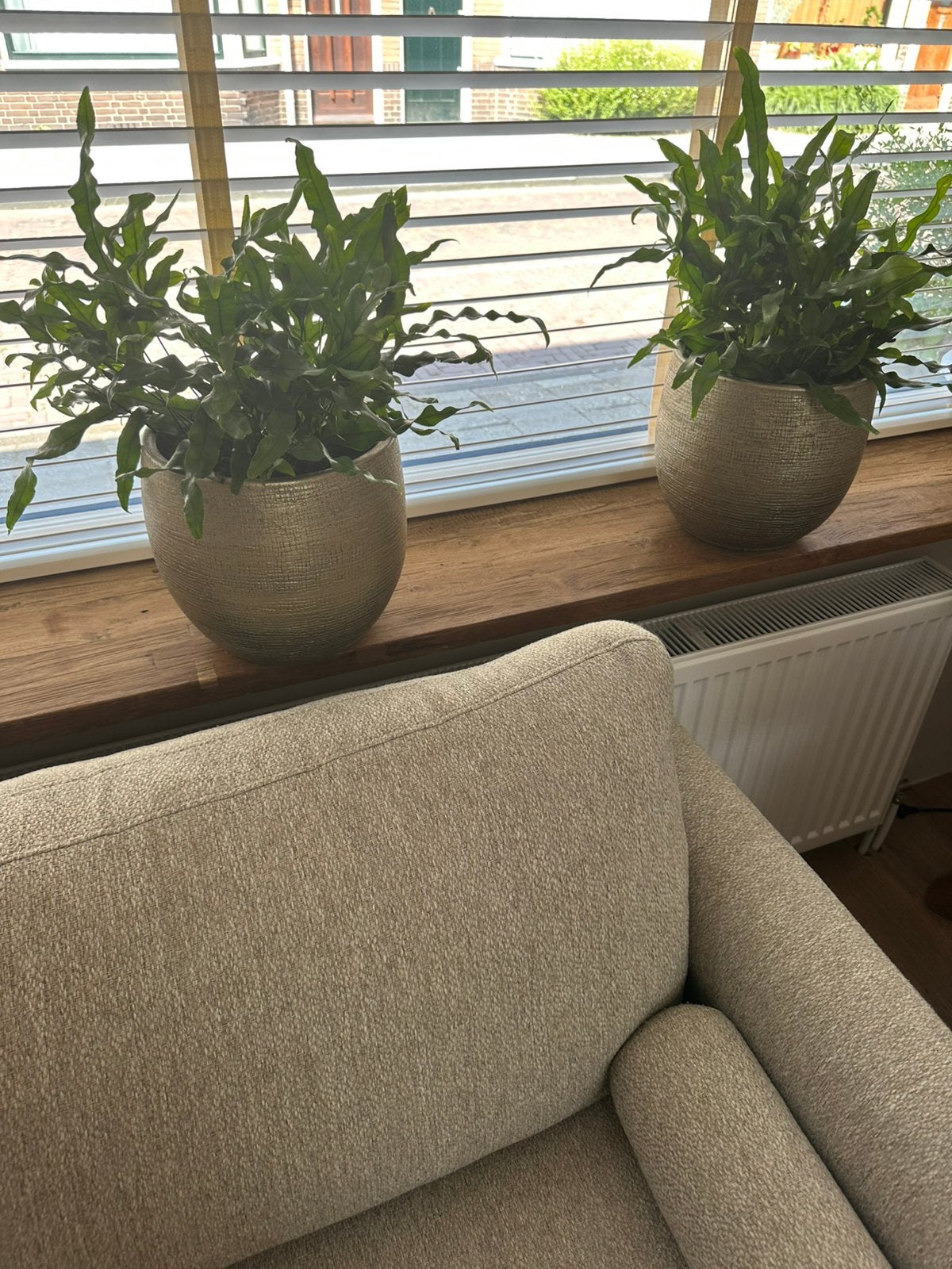 Mooie grote gouden bloempotten, Ophalen, Zo goed als nieuw