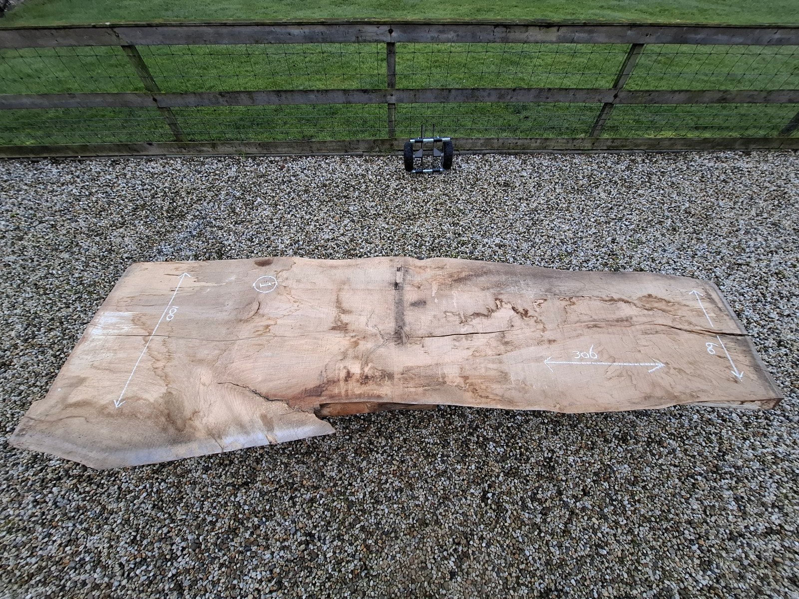 Mooi beukenhouten schaaldeel, Ophalen, Overige typen, Nieuw, 250 tot 300 cm