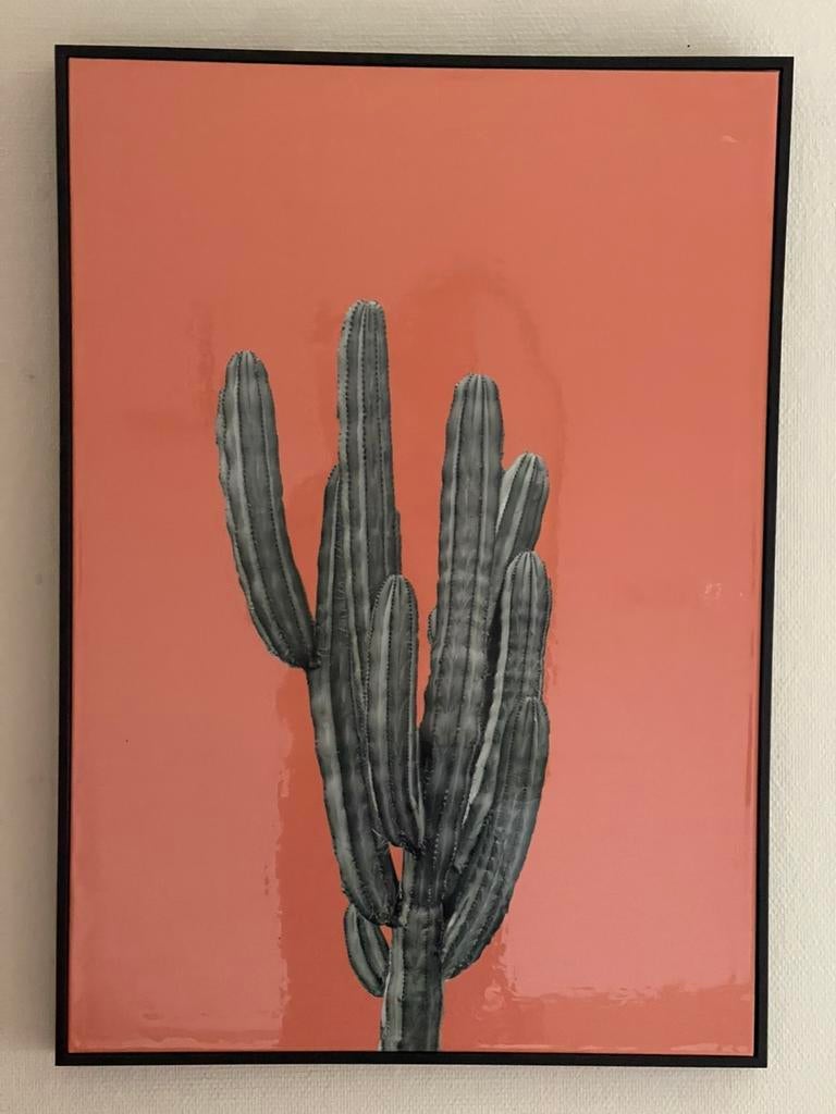 Resin Art ingelijst, groot! Cactus in orange, Finlay and Noa, Antiek en Kunst, Kunst | Schilderijen | Modern, Ophalen