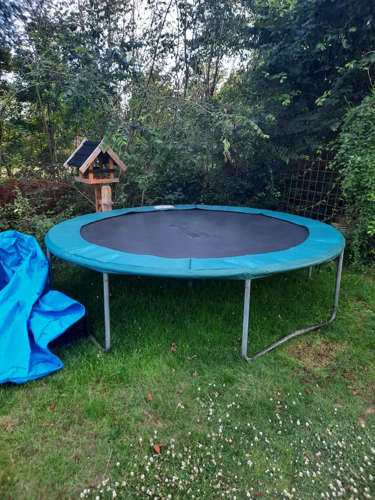 Ronde trampoline met lichte beschadiging, Kinderen en Baby's, Speelgoed | Buiten | Trampolines, Ophalen, Gebruikt