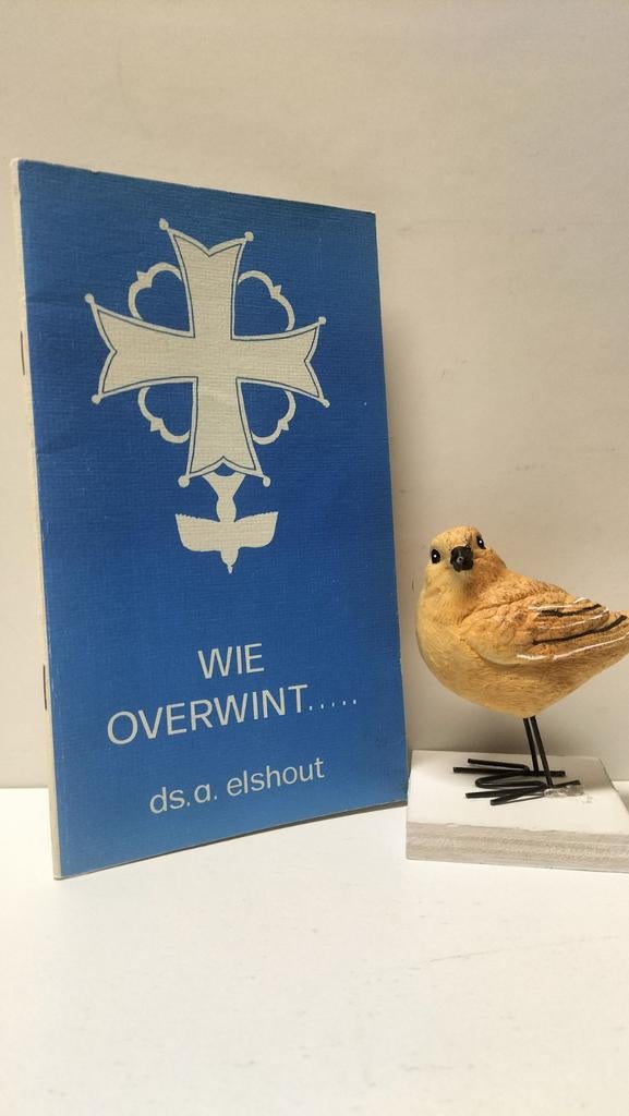 Elshout, Ds. A.; Wie overwint …, Ophalen of Verzenden, Gelezen, Christendom | Protestants