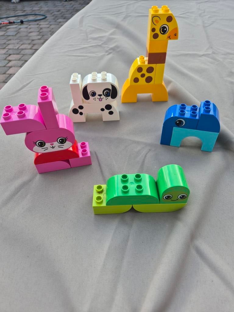 Lego Duplo 10573 dieren, Ophalen