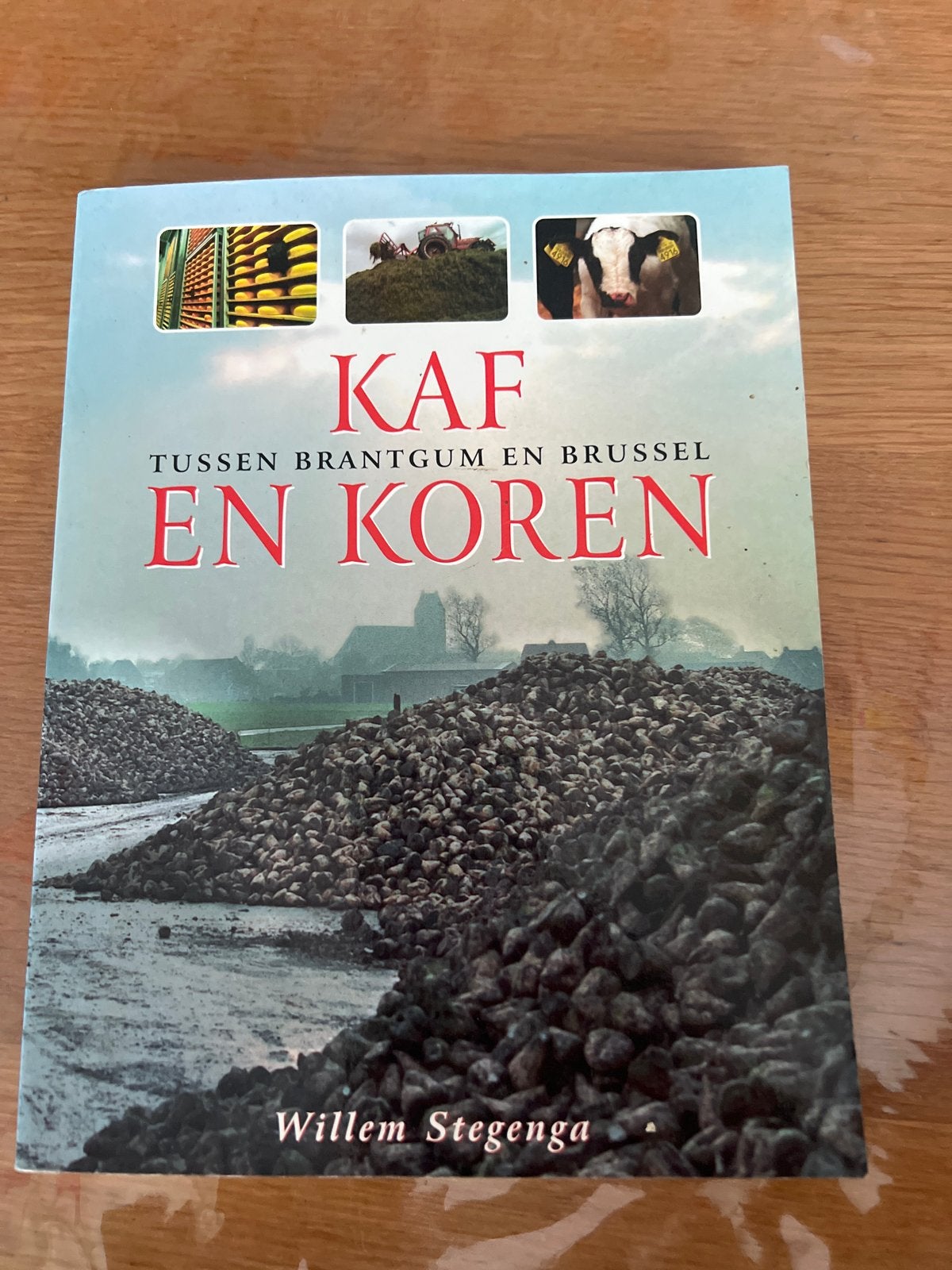 Kaf en Koren: Tussen Brantgum en Brussel - Willem Stegenga, Ophalen of Verzenden, Gelezen, Nederland