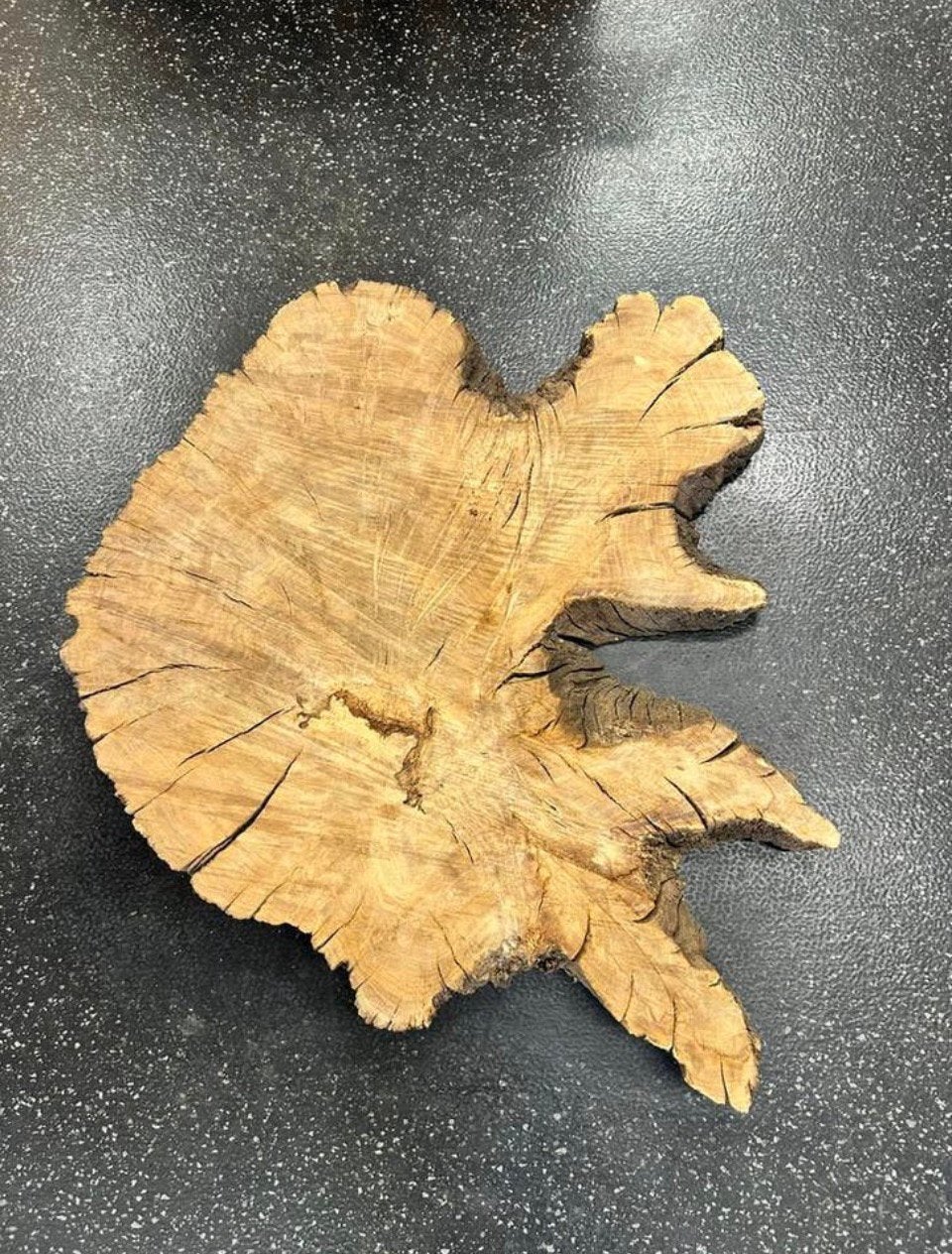 Epoxy blad Oud Eiken hout 70 cm, Ophalen of Verzenden
