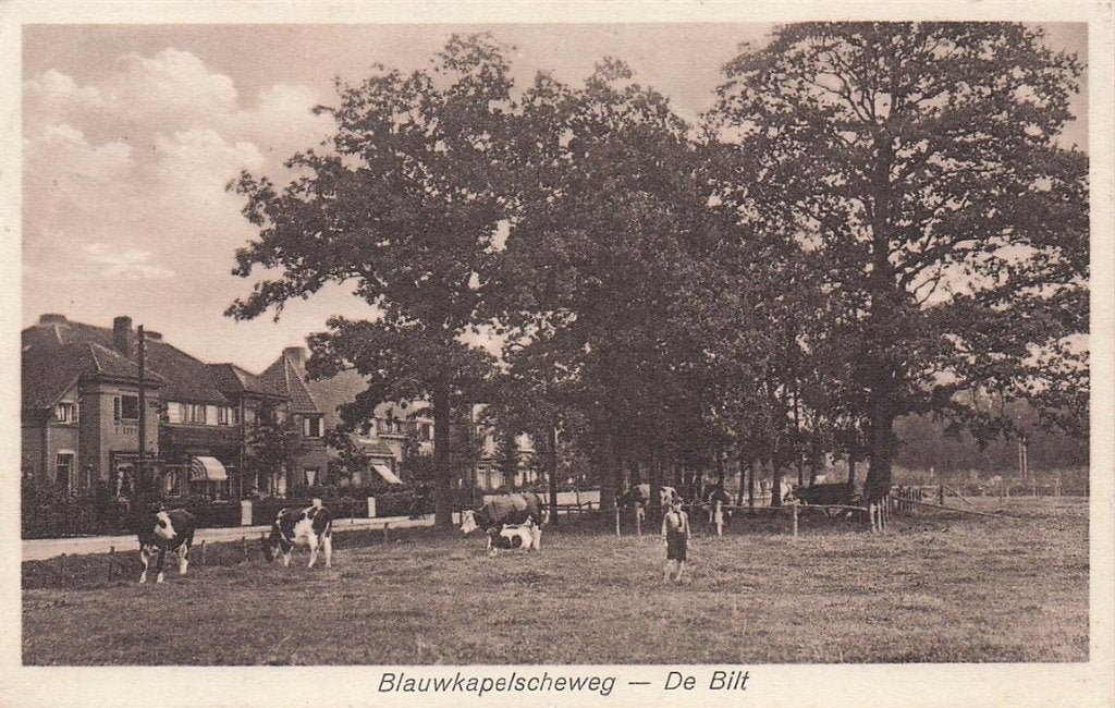 702-346-047 Blauwkapelscheweg De Bilt, Verzenden, Voor 1920, Utrecht