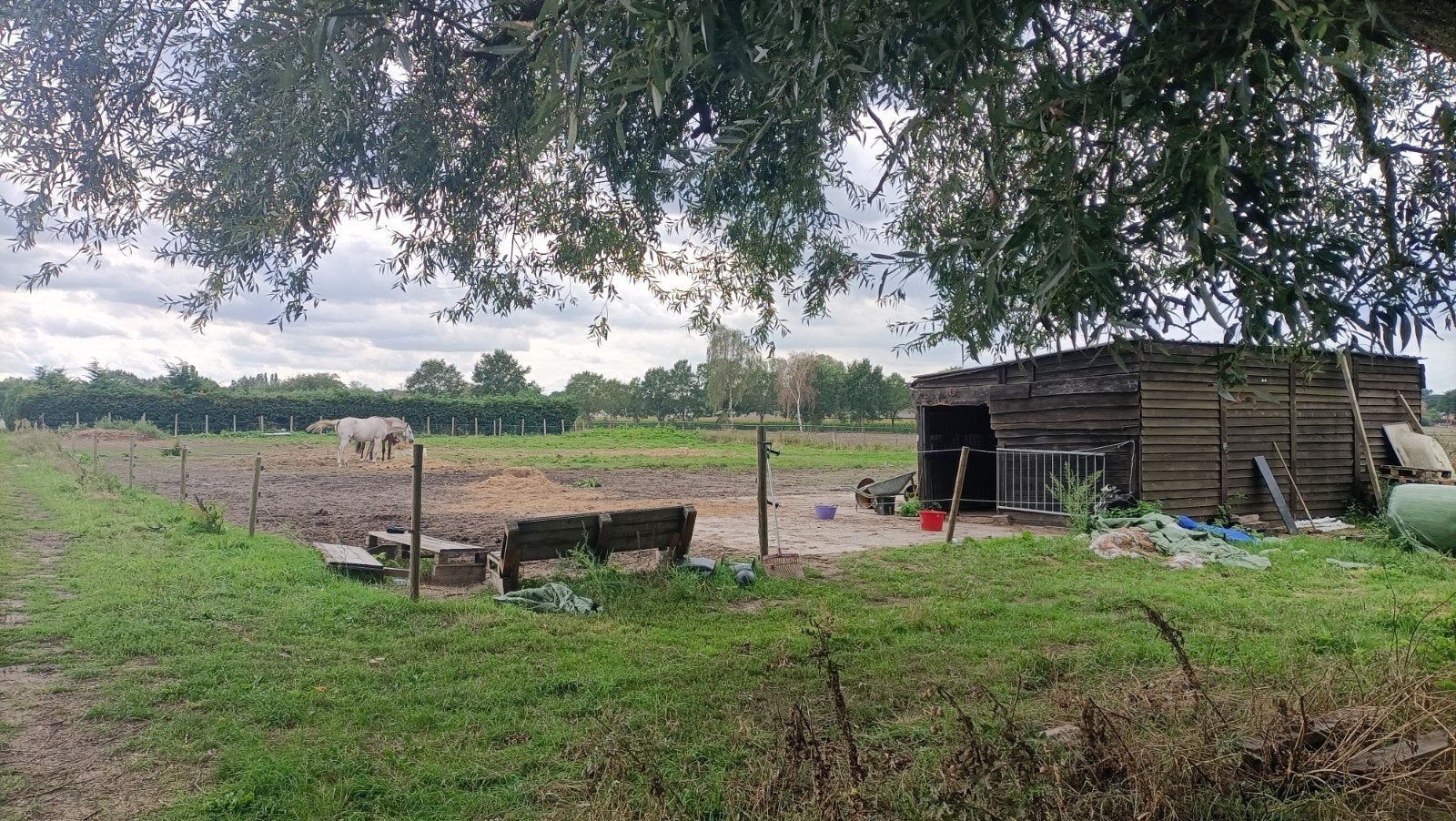 weide Kalmthout België, Dieren en Toebehoren