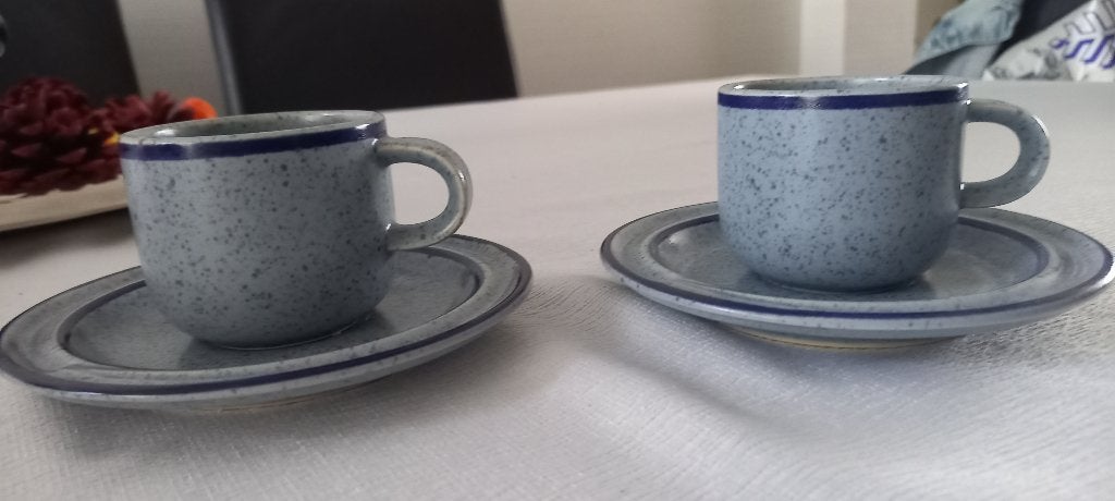 2 Blauwe espresso kopjes (Rosenthal), Overige merken, Ophalen of Verzenden, Zo goed als nieuw, Overige stijlen