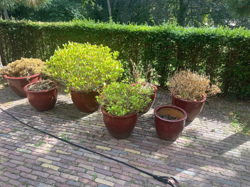 7 grote rood geglazuurde tuinpotten, Tuin en Terras, Ophalen, Gebruikt, 40 cm of meer, Rond
