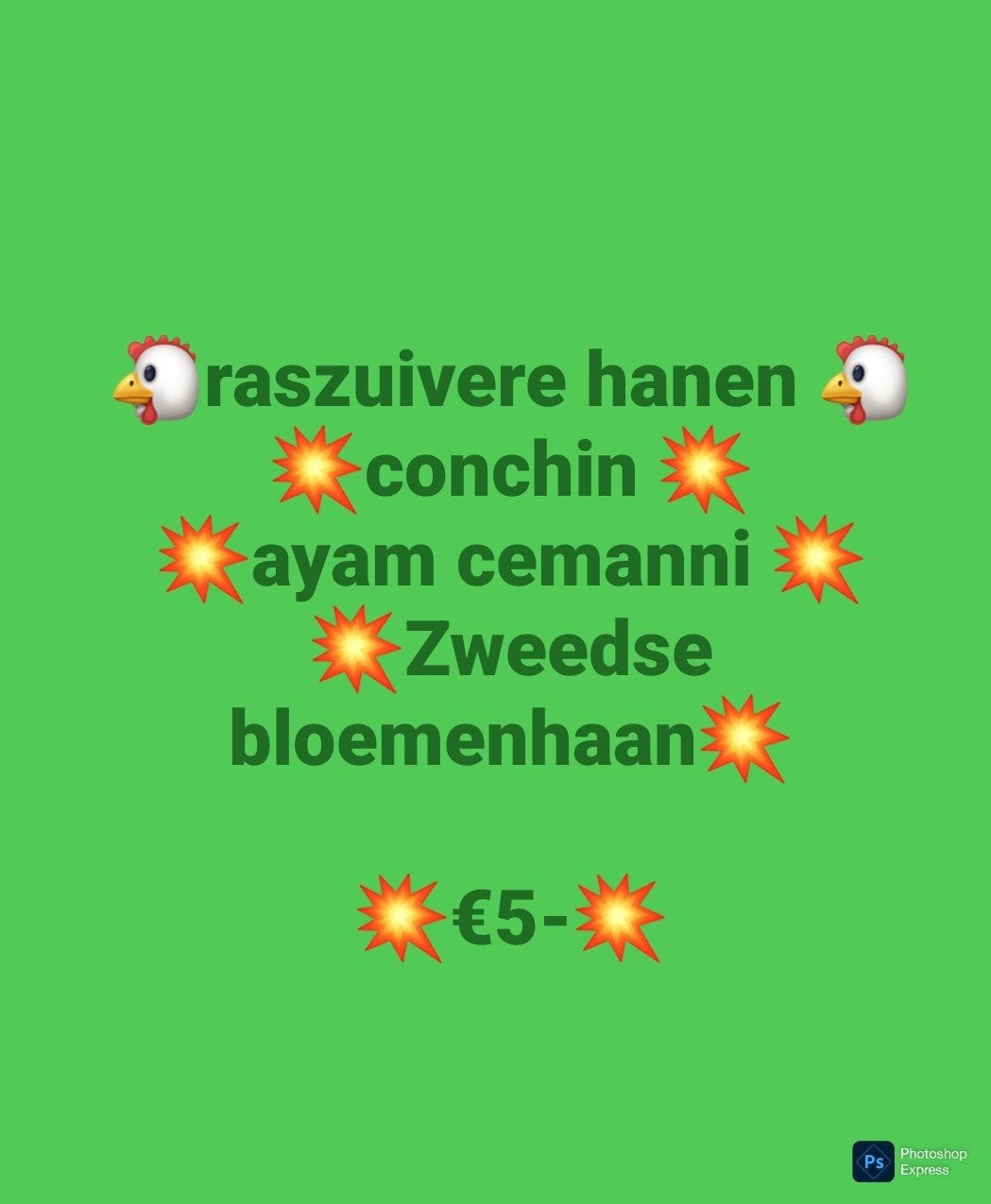 Te koop raszuivere haantjes, Dieren en Toebehoren, Pluimvee, Mannelijk, Kip