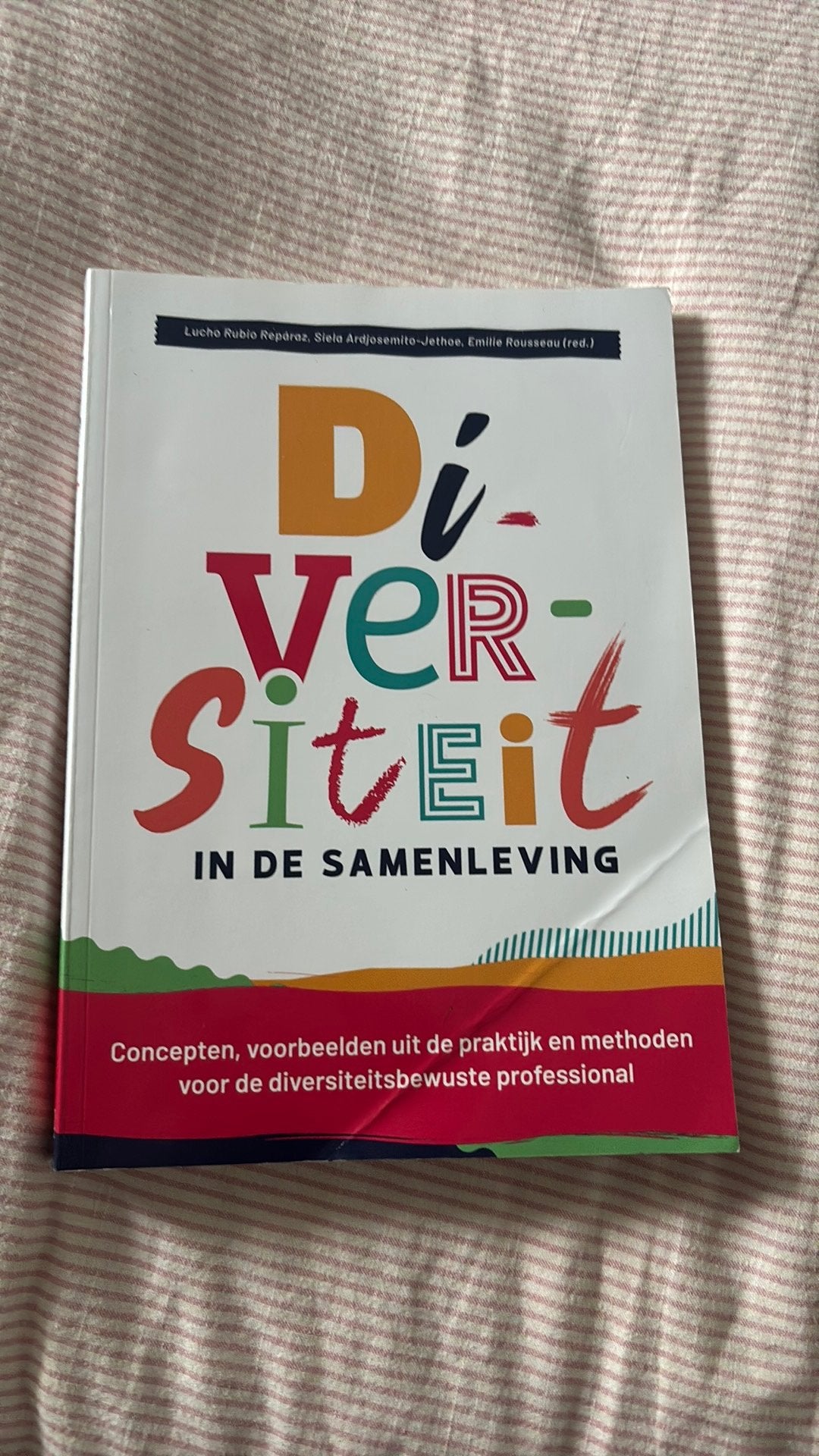 Diversiteit in de samenleving, Boeken, Ophalen of Verzenden, Zo goed als nieuw, Sociale wetenschap