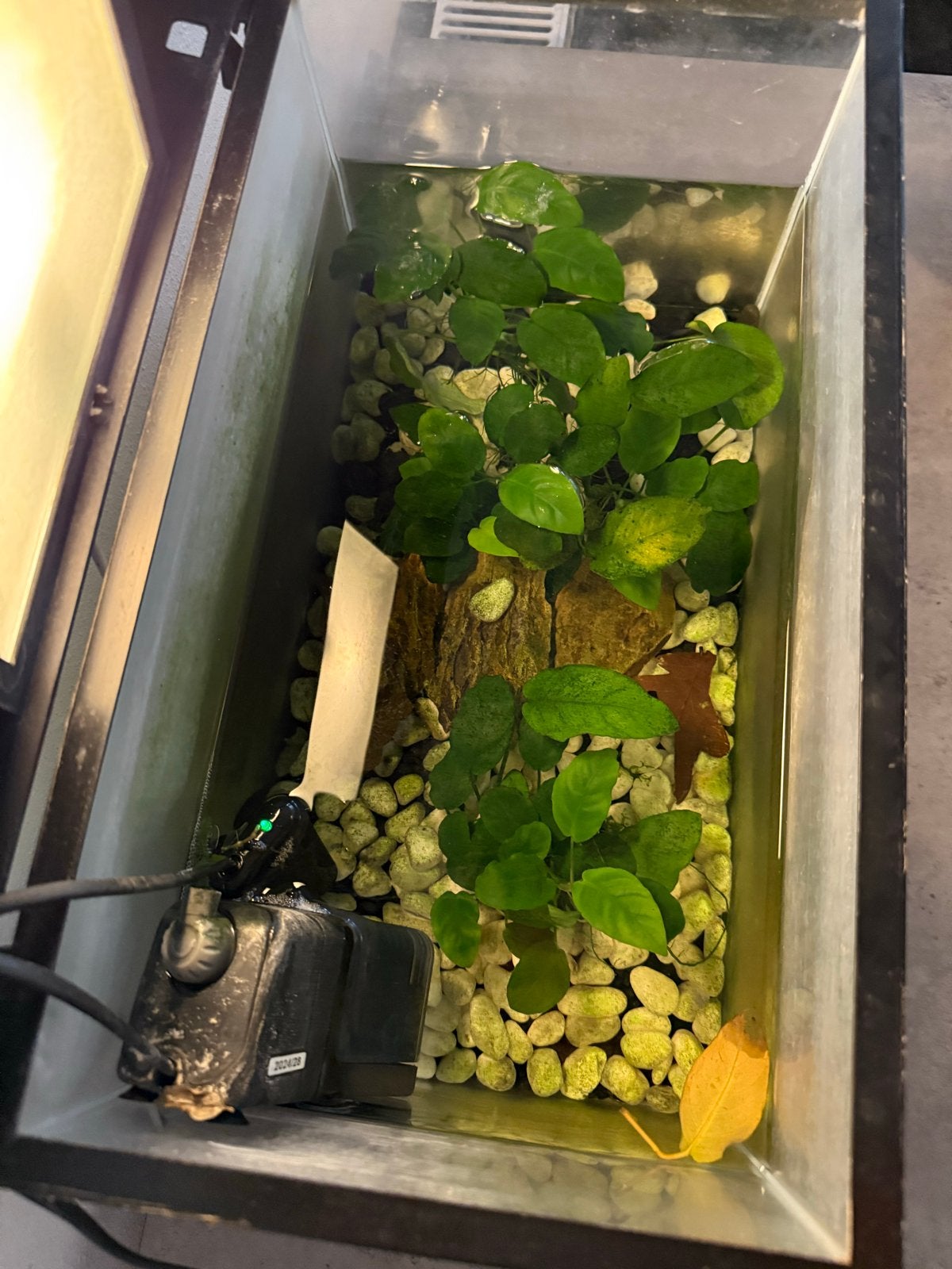 20l aquarium, Ophalen, Zo goed als nieuw, Leeg aquarium