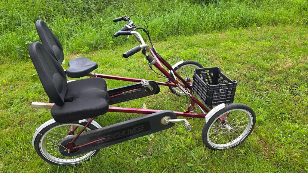 Electrieche duofiets, Fietsen en Brommers, Elektrische fietsen, Gebruikt, Ophalen of Verzenden