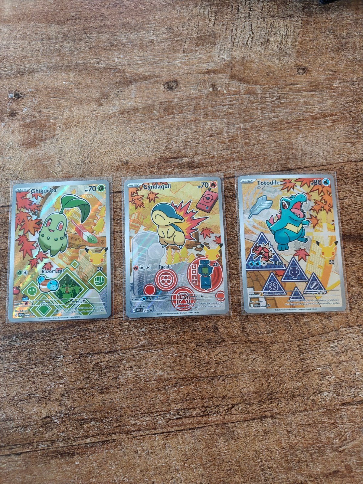 Pokémon First Partner Pack Gen 2, Ophalen of Verzenden, Zo goed als nieuw, Meerdere kaarten
