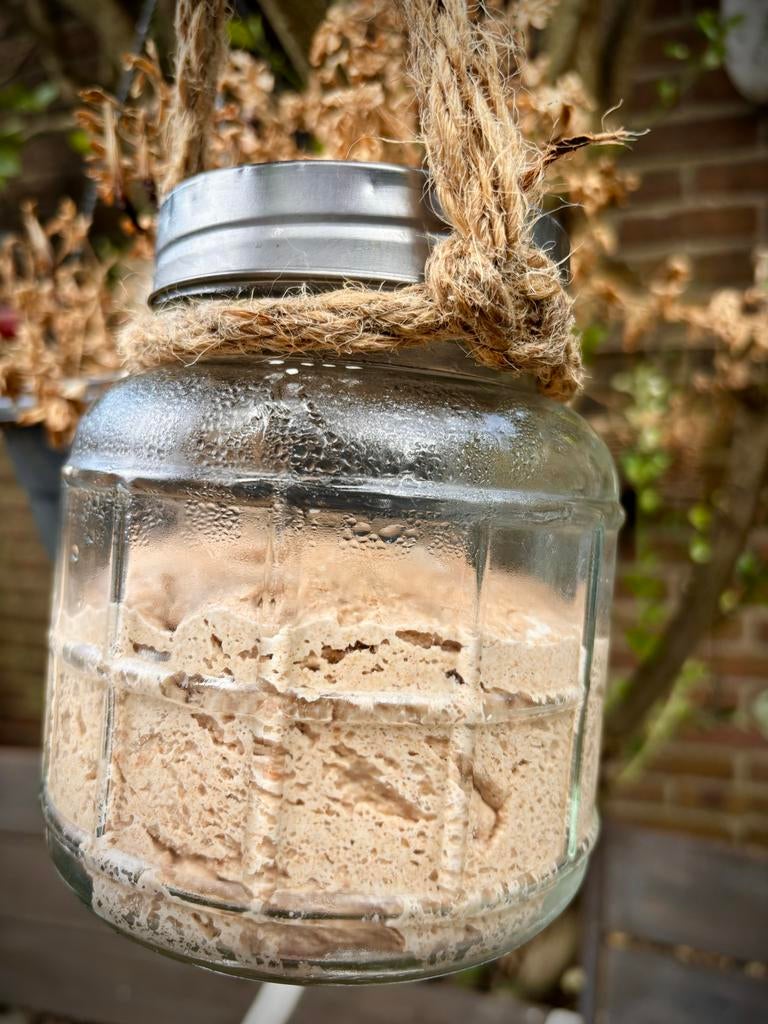 Zuur desem starter gezonde brood 6 jaar oud, Ophalen of Verzenden