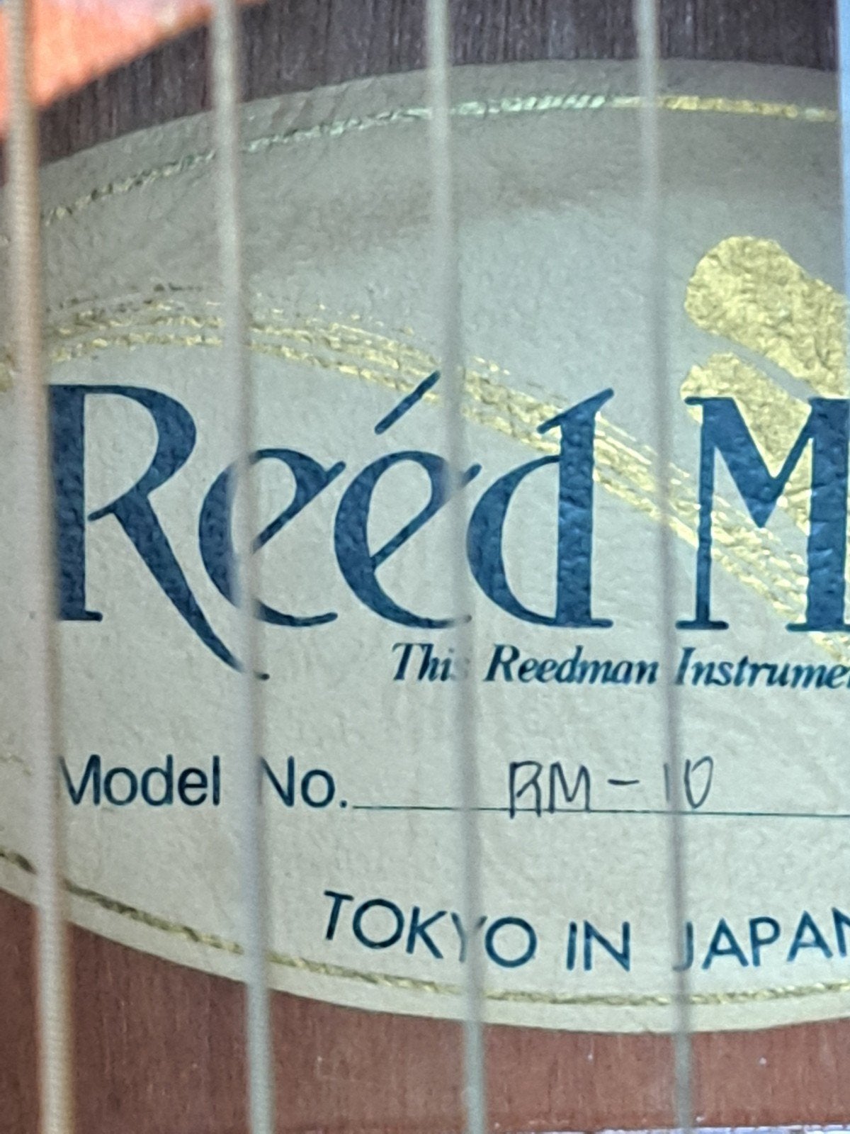 Reed Man RM-10 Western gitaar met hoes, Ophalen, Gebruikt, Western- of Steelstringgitaar, Met koffer