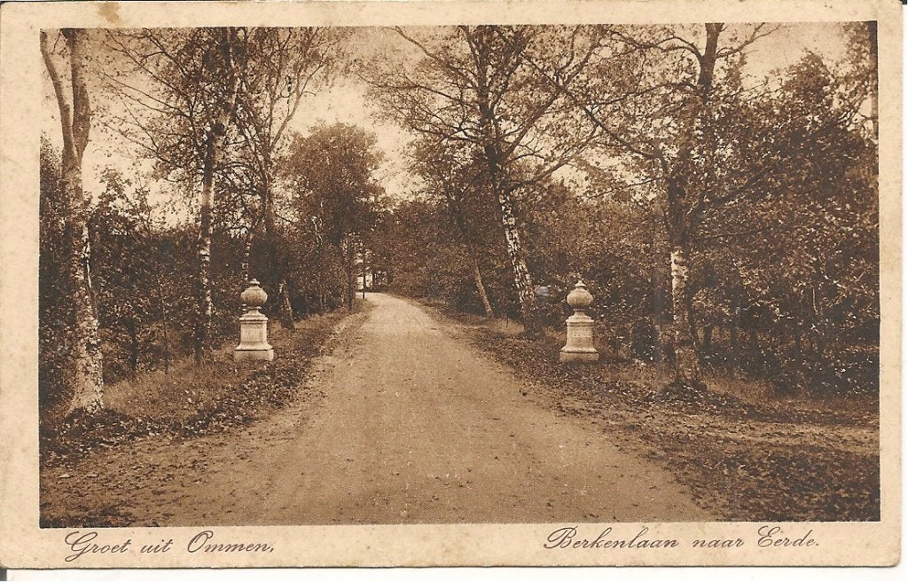 Ansichtkaart Ommen - Berkenlaan naar Eerde (voor 1920), Ophalen of Verzenden, Voor 1920, Ongelopen, Overijssel