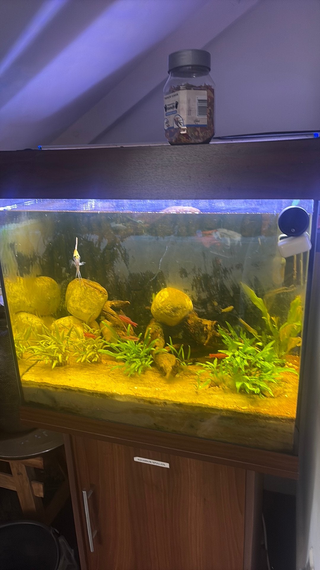 Aquarium te koop, Ophalen, Zo goed als nieuw