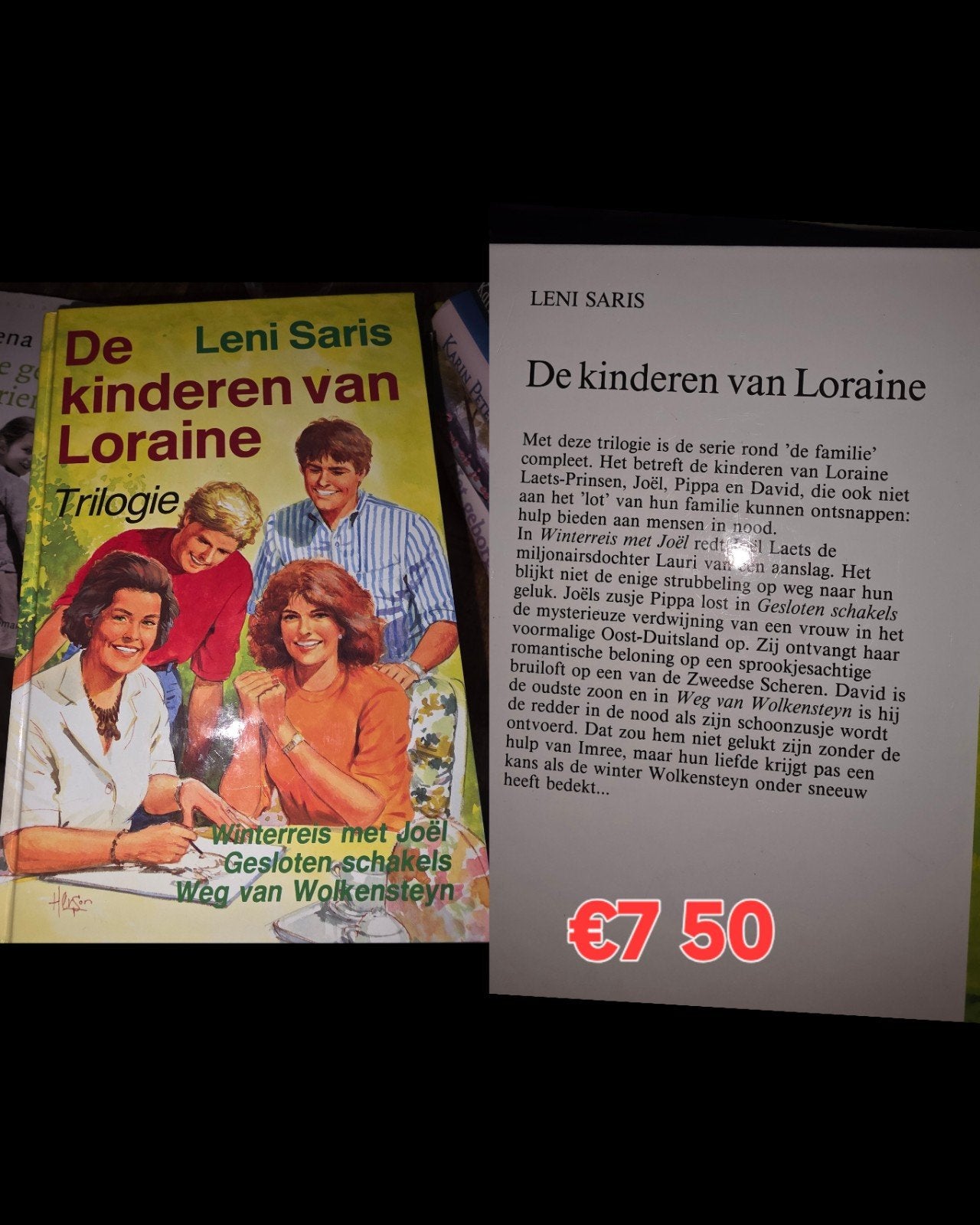 De kinderen van loraine Leni saris, Boeken, Streekboeken en Streekromans, Ophalen of Verzenden, Zo goed als nieuw