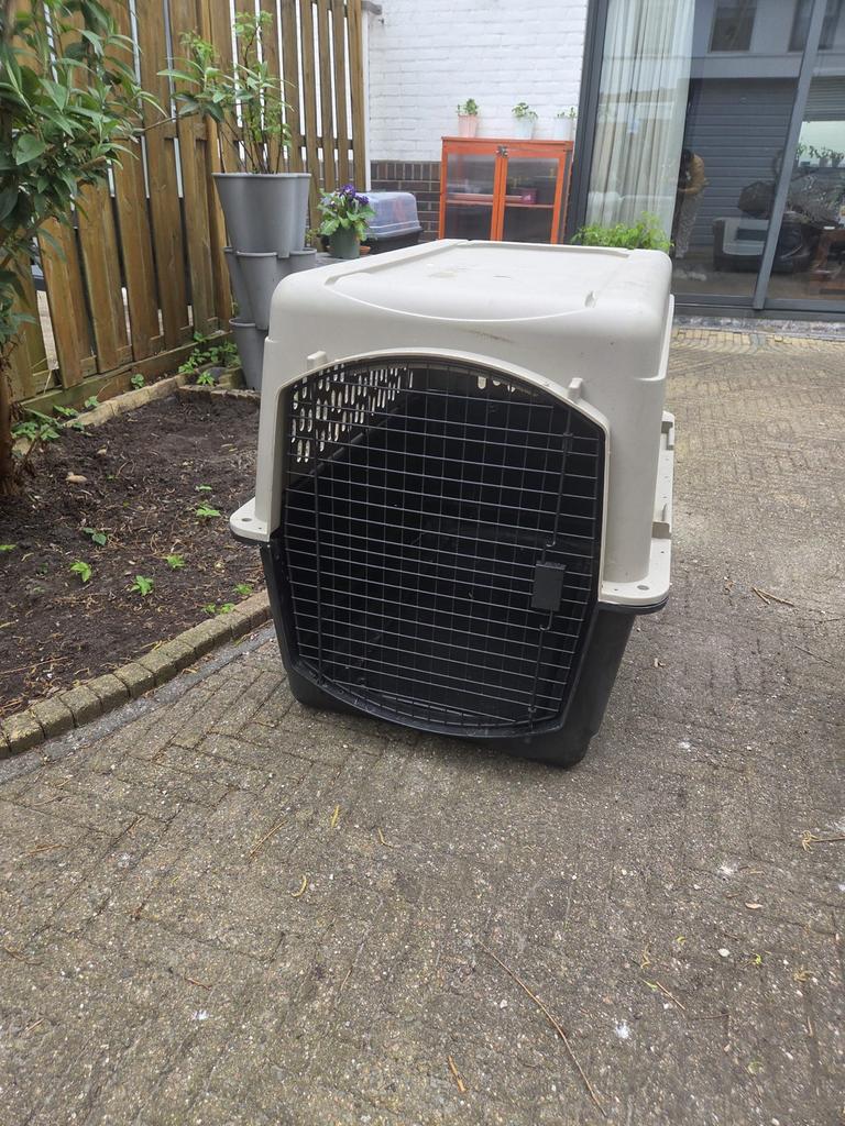 Transportbox hond – geschikt voor vliegen - IATA-richtlijnen, Ophalen, Gebruikt