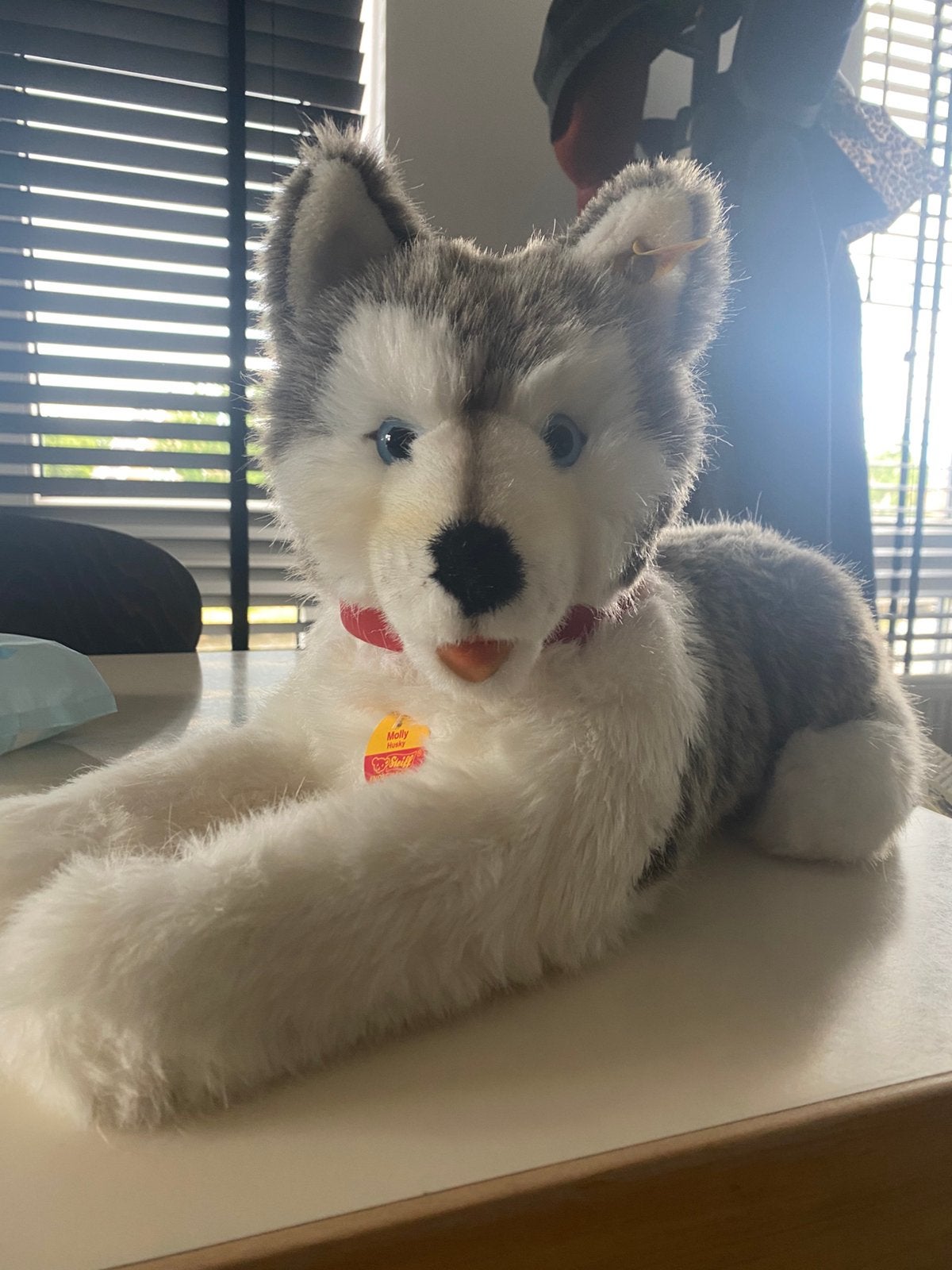 Steiff vintage molly husky, Overige merken, Overige karakters, Nieuw, Wasbaar