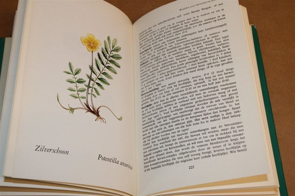 Mellie Uyldert — Lexicon Geneeskruiden, Boeken, Ophalen of Verzenden, Gelezen, Overige onderwerpen, Achtergrond en Informatie
