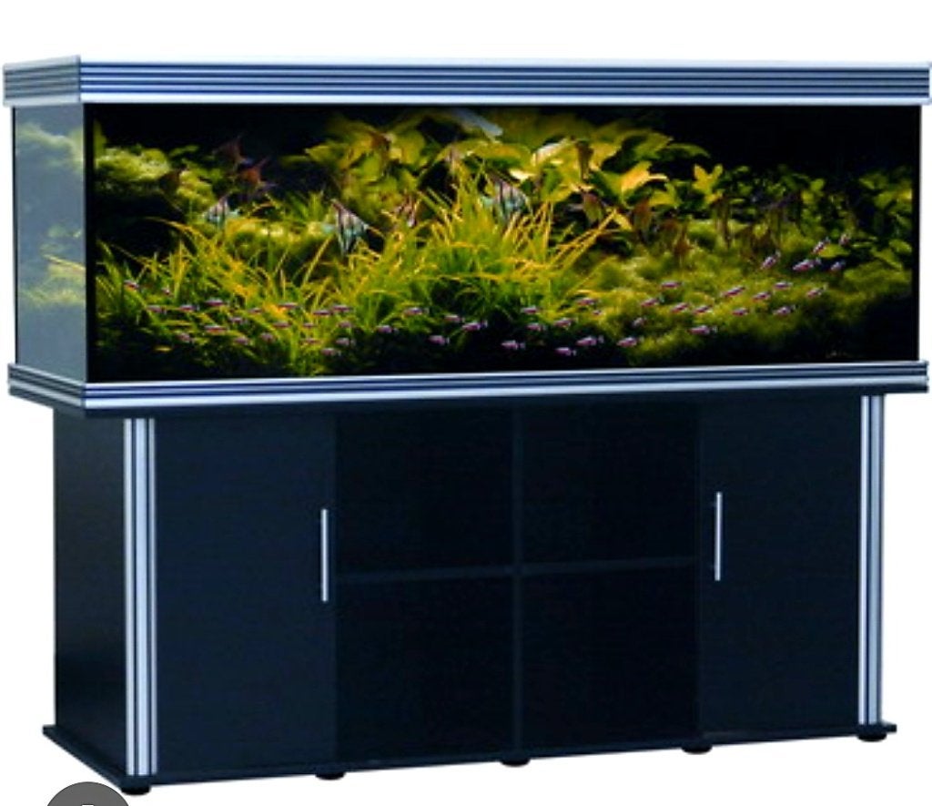 Compleet 180cm aquarium, Dieren en Toebehoren, Vissen | Aquaria en Toebehoren, Ophalen, Gebruikt, Aquatlantis, Leeg aquarium