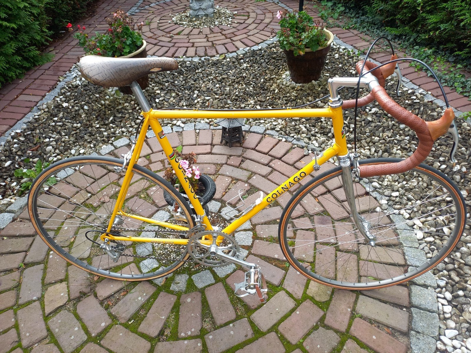Colnago Super Racefiets - Vintage Geel, Fietsen en Brommers, Staal, Zo goed als nieuw, 57 tot 61 cm, Ophalen