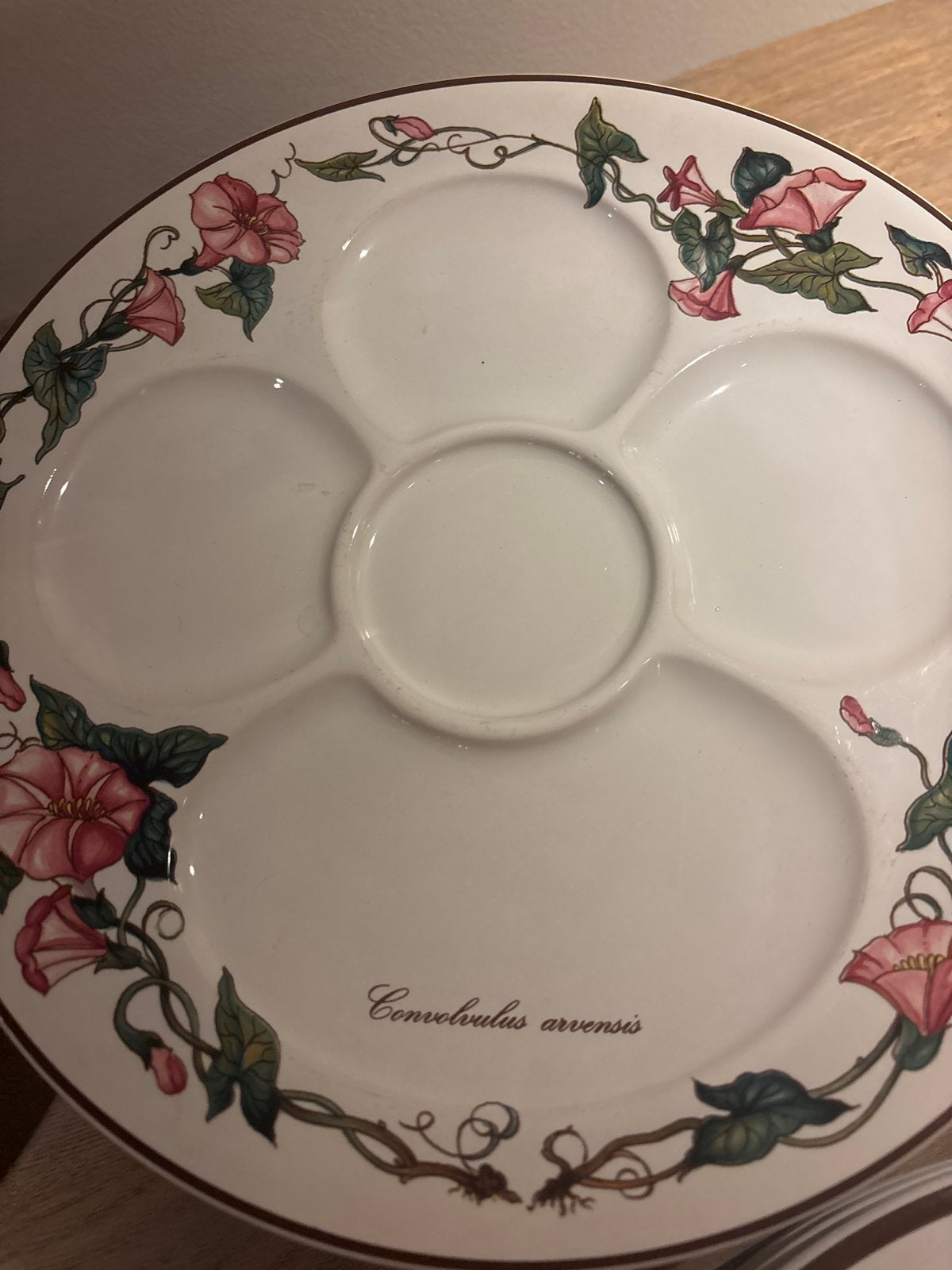 6 Villeroy & Boch Botanica fondueborden - 24 cm, Gebruikt, Villeroy & Boch, Ophalen of Verzenden, Bord(en)