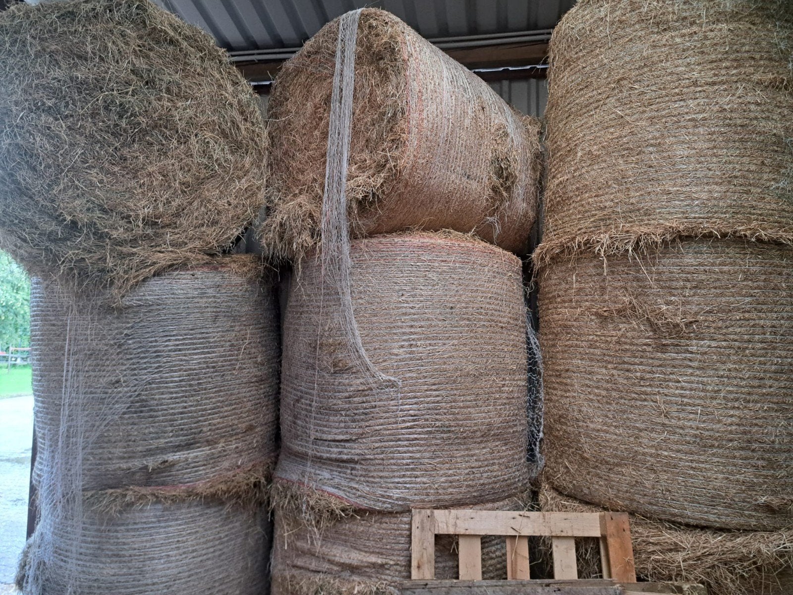 hooi balen 200 stuks is voor paarden, Ophalen of Verzenden, Vee