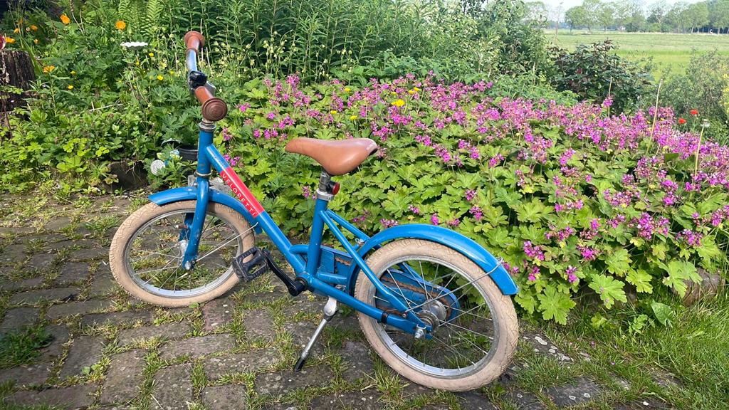 Veloretti kinderfiets, Ophalen of Verzenden, Gebruikt