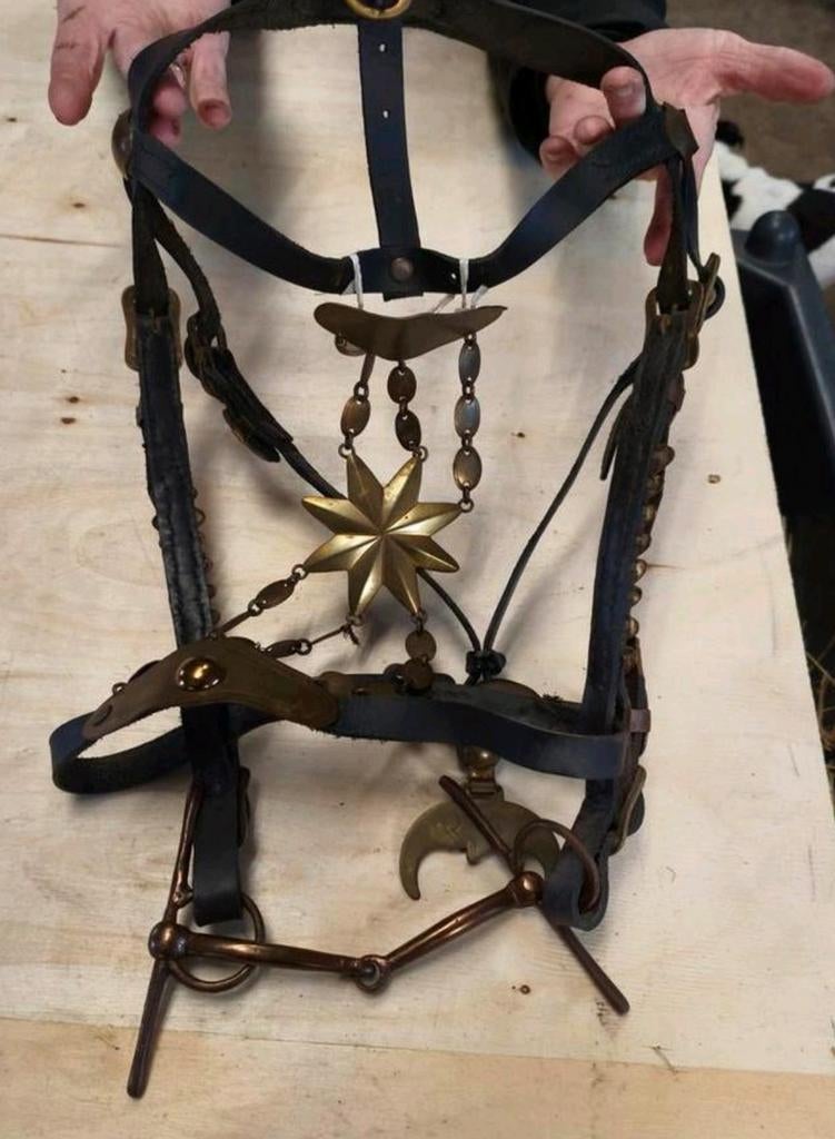 Antiek hoofdstel verzameling, Ophalen of Verzenden