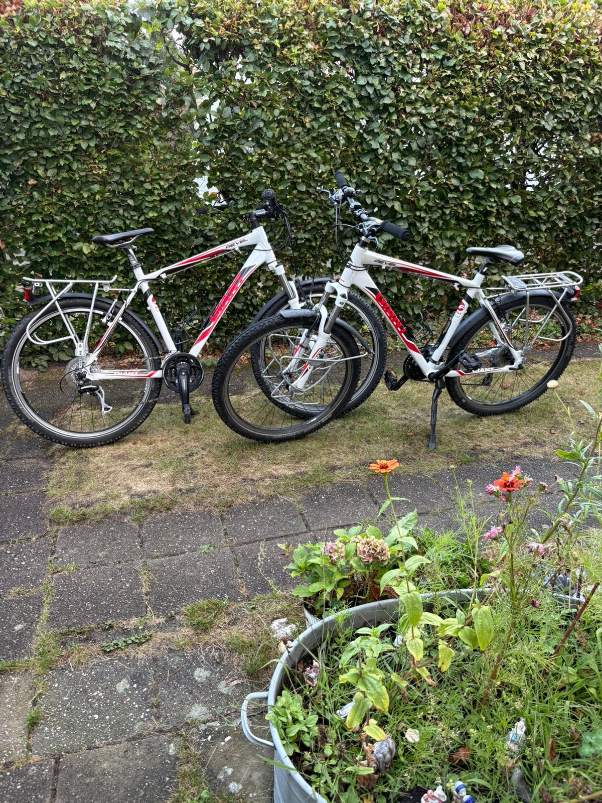 2 mooie giant’s!, 49 tot 53 cm, Ophalen, Zo goed als nieuw, Giant