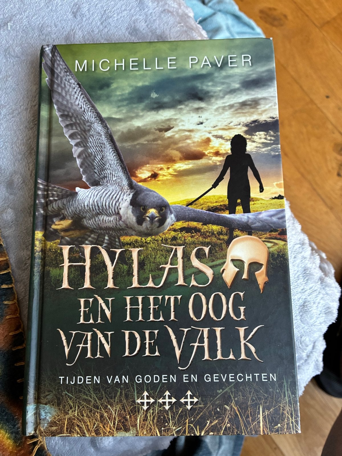 Michelle Paver - Hylas en het Oog van de Valk, Ophalen of Verzenden, Zo goed als nieuw