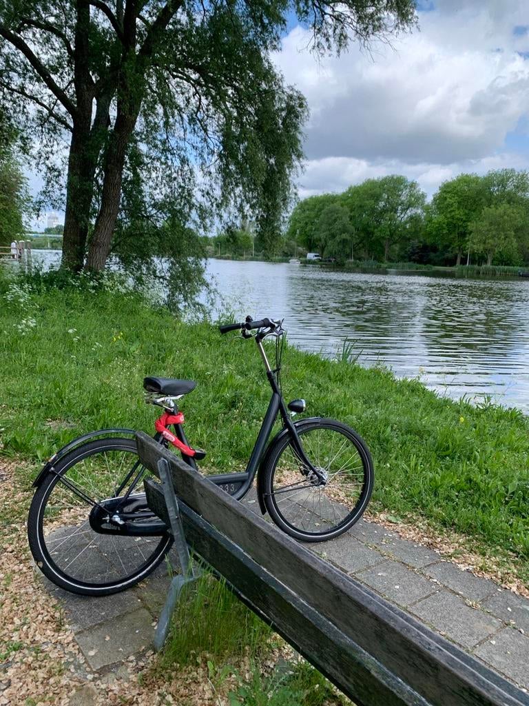 Women’s City Bike, Comfortable & Ready to Ride (Amsterdam), Ophalen, Gebruikt, Staal, 24 inch of meer
