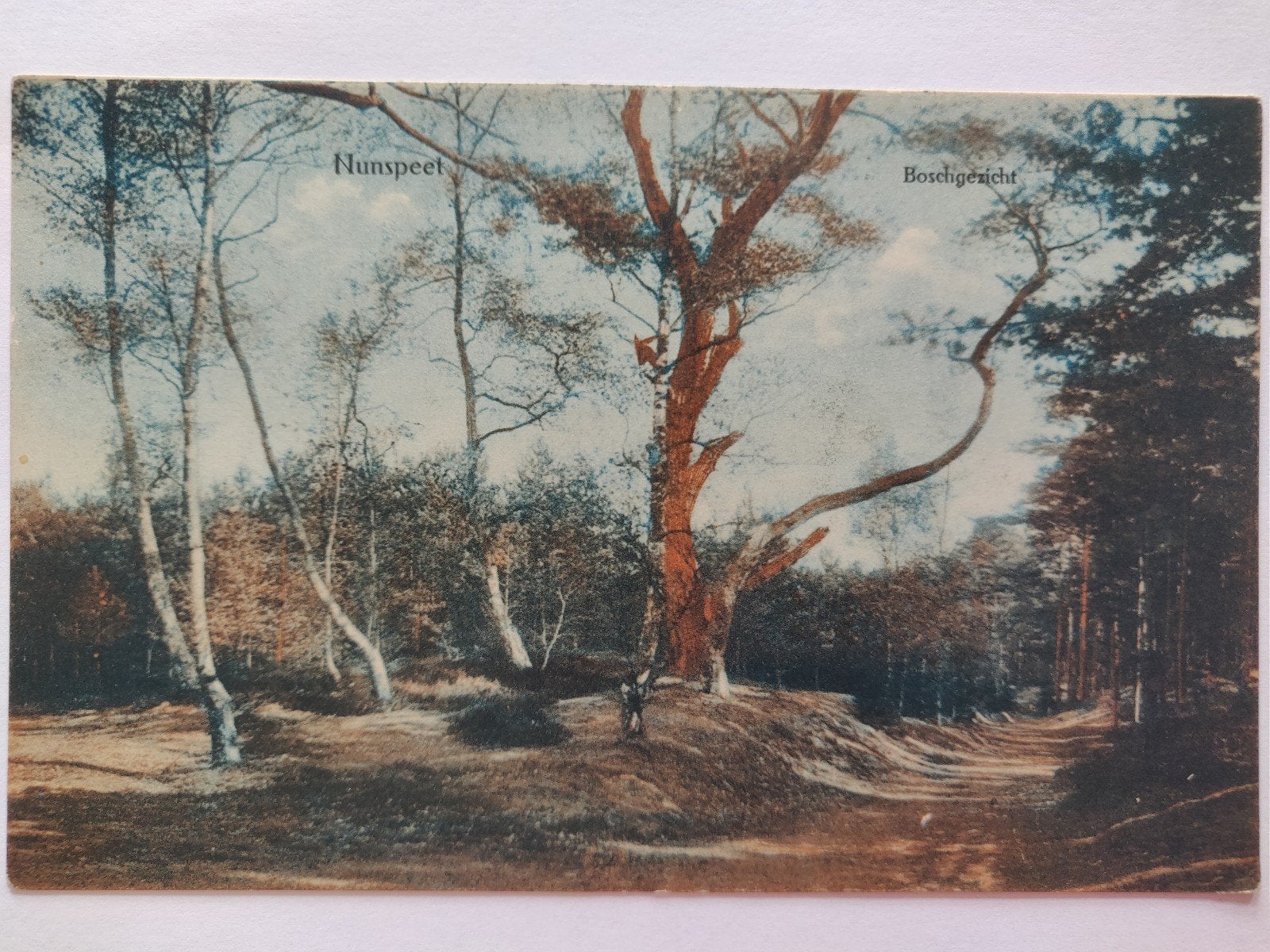 C670 Nunspeet 1915, Ophalen of Verzenden, 1920 tot 1940, Gelderland