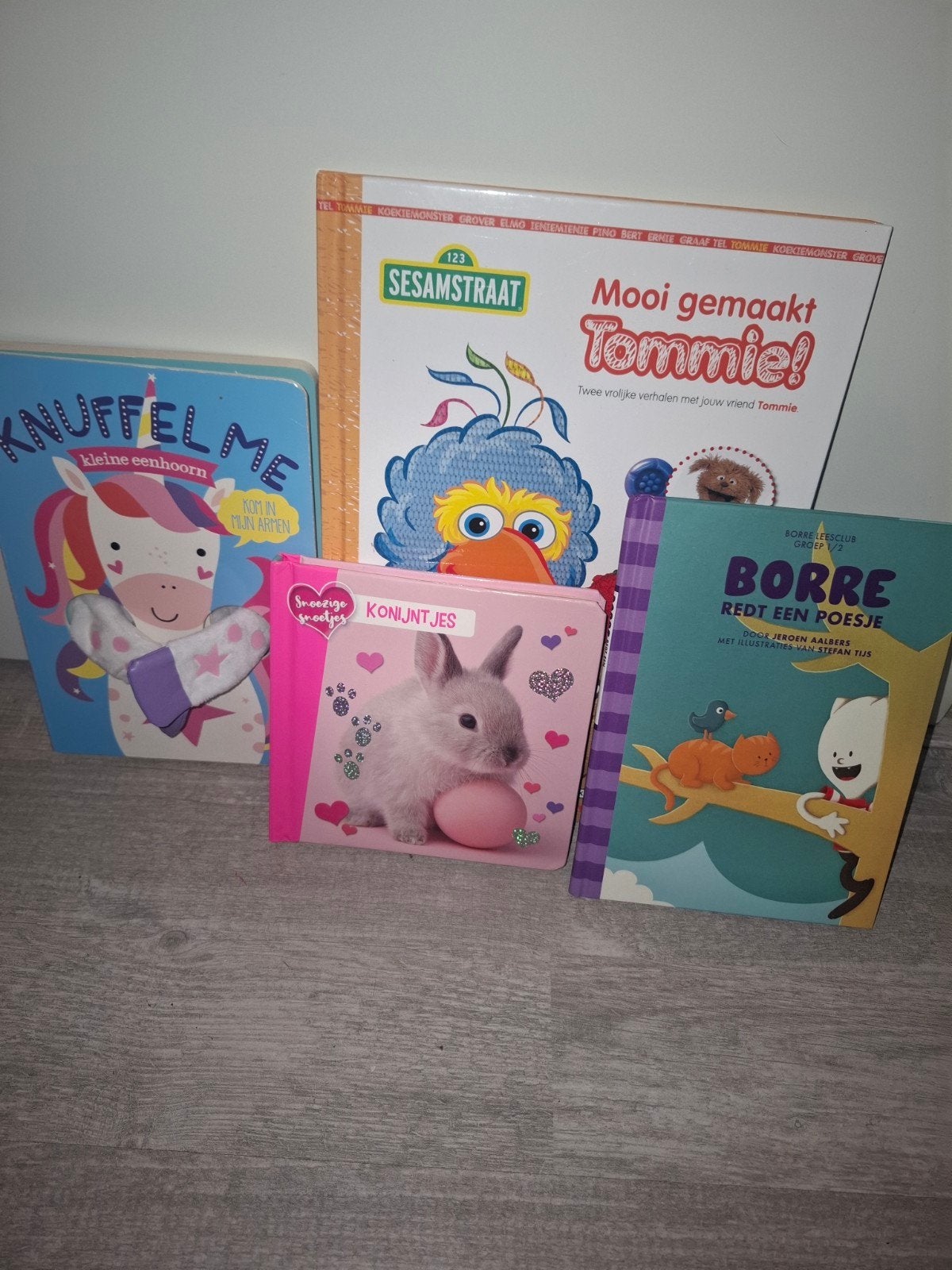 Kinderboeken: Sesamstraat, Eenhoorn, Konijntjes, Borre, Boeken, Ophalen, Zo goed als nieuw, Fictie algemeen