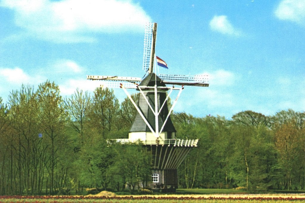 988468 Lisse 1981 Keukenhof zegel Integratie onder vrienden, Ophalen of Verzenden, 1980 tot heden, Gelopen, Zuid-Holland