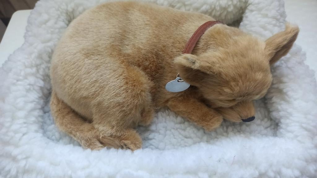 Perfect Petzzz Chihuahua, Ophalen of Verzenden, Overige typen