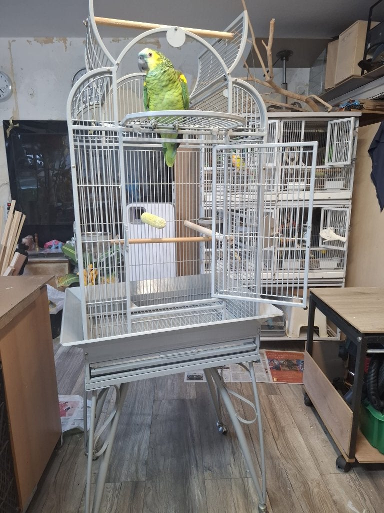 vogels kooi Muisparkieten Papegaaienkooi 2 x, Dieren en Toebehoren, Ophalen, Zo goed als nieuw, Metaal, Vogelkooi
