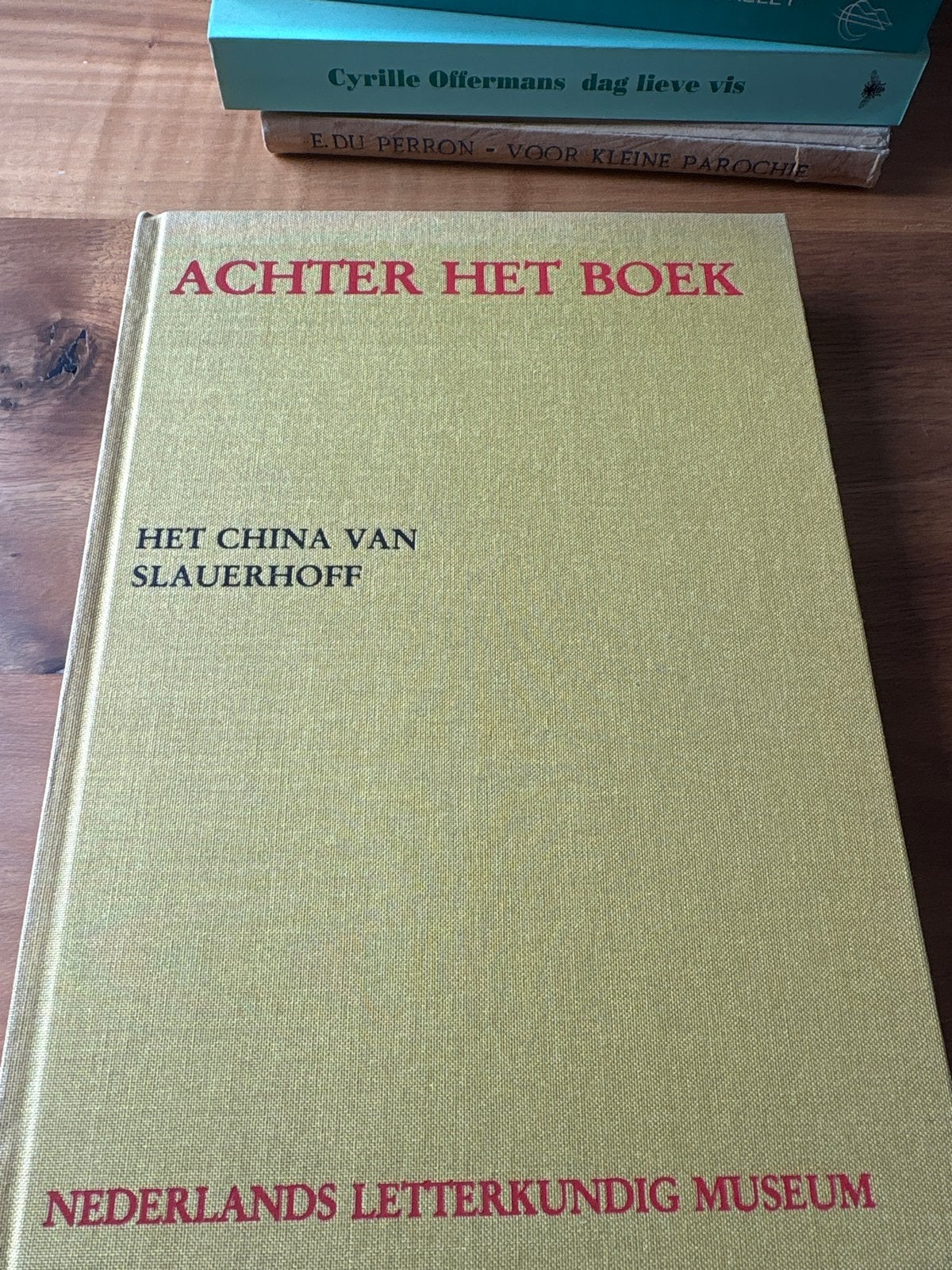 Achter het Boek: Het China van Slauerhoff, Boeken, Ophalen of Verzenden, Zo goed als nieuw, Nederland